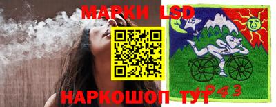 mdpv Можга