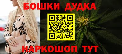 сатива Малгобек