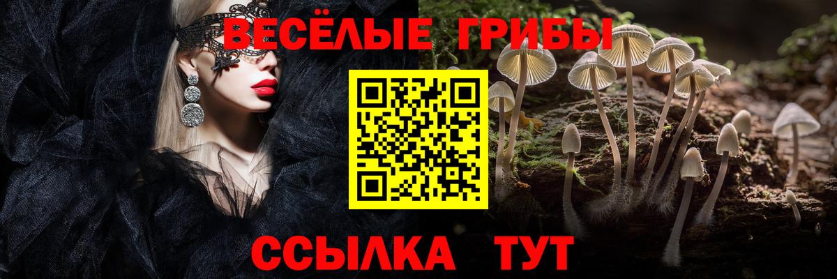 Псилоцибиновые грибы GOLDEN TEACHER Чусовой